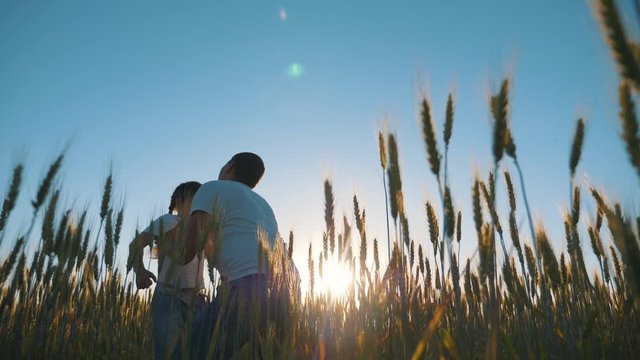 A happy father throws a cute little girl in the air. Dad and daughter play in the Park for a walk. Happy family together. A family in a wheat field at sunset.