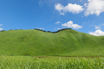 Scenery of Nara-Soni Highlands in midsummer