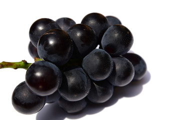 Fototapeta premium 甘くて瑞々しい大きな葡萄、巨峰。食べ物イメージ素材