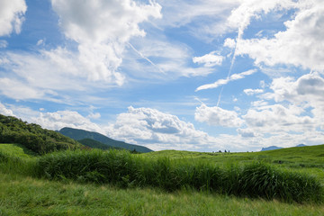 Obraz premium Scenery of Nara-Soni Highlands in midsummer