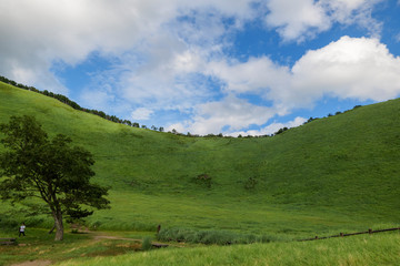 Naklejka premium Scenery of Nara-Soni Highlands in midsummer
