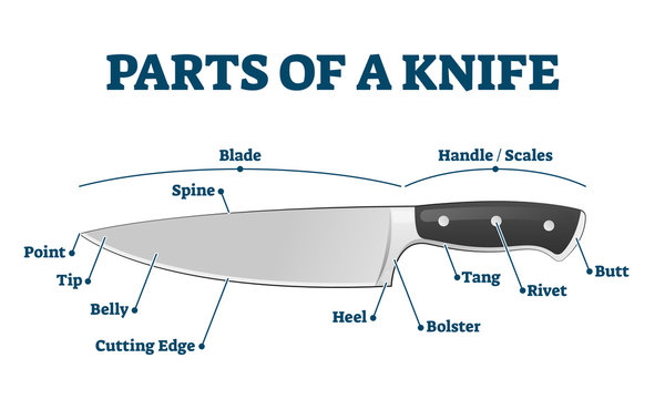 Parts of kitchen knife with labeled structure description vector illustration