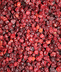 dried lingonberries - the most useful harvest for the winter
