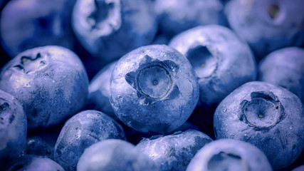 Fresh ripe blueberries with water droplets close-up, delicious forest berry