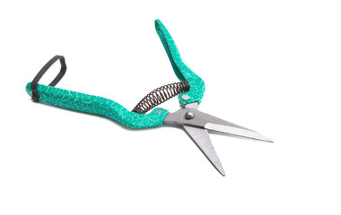 flower pruner isolated