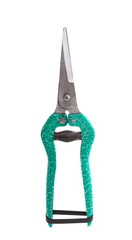 flower pruner isolated