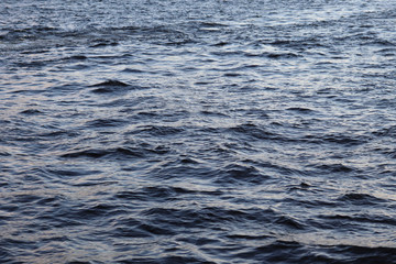 Texture of moving water. Marine background with turquoise ripples of small waves.