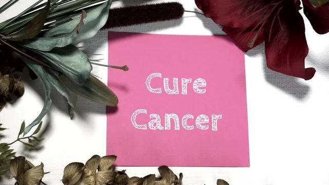 Lay Flat Design- CURE CANCER APPEARS DIGITALLY  written on a piece of pink cardstock on a white canvas backdrop with blue, green and burgandy floral accents.