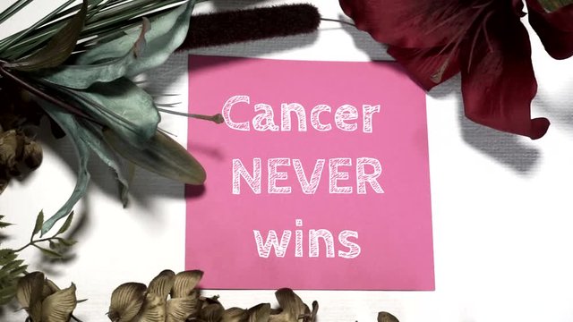 Lay Flat Design-CANCER NEVER WINS APPEARS DIGITALLY written on a piece of pink cardstock on a white canvas backdrop with blue, green and burgundy floral accents