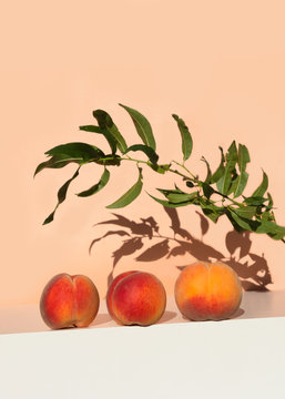 Ripe Fresh Peaches On White Table On Orange Pink Colored Background. Low Angle View. Creative Minimal Summer Fruit Concept.