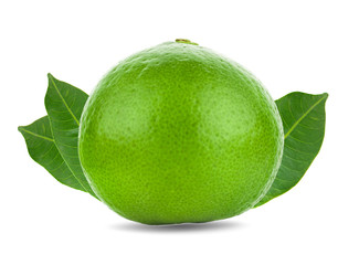 lime an isolated on white background
