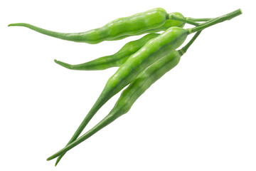 Radish pods (Raphanus sativus silique) isolated on  white