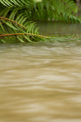 Long exposure shot of fast moving water. 
