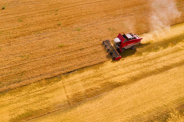 Aerial view of combine harvesting ripe wheat on the field