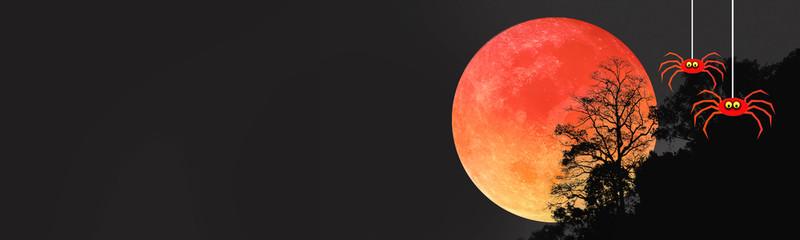 Blood Moon on Halloween night.Image of blood moon with silhouette branches of creepy tree and evil spiders on dark night for Halloween party invitation background.