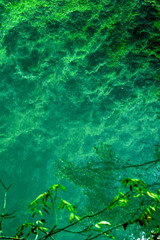 Fototapeta na wymiar Zhangjiajie Grand Canyon, Hunan, contains mountain streams, silk-like smooth water, birds playing in the water, aquatic plants, ossy stones, cliffs, green trees environment, blue sky and reflection as