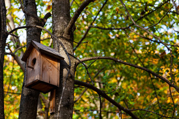 Birdhouse on a tree in a park.