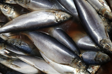 herring floating in a brine in a barrel
