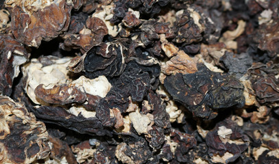 dried morels spring edible mushrooms
