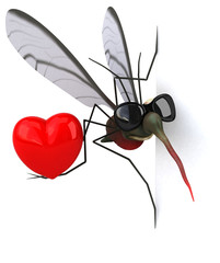 Mosquito - 3D Illustration