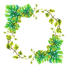 Fototapeta premium monstera, epipremnum tropical floral flower leaf template frame watercolor painting illustration design card background wedding invitation decoration art pattern