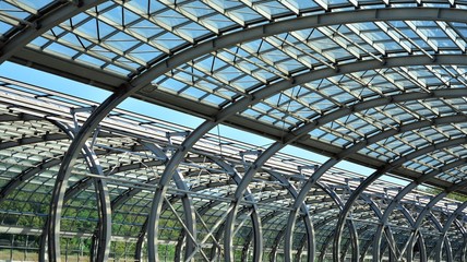 Glass roof over the road