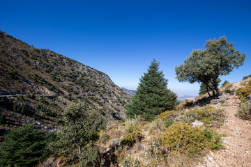 Fototapeta na wymiar Sierra de Grazalema