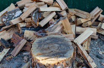 ready-made birch firewood and cracked stump
