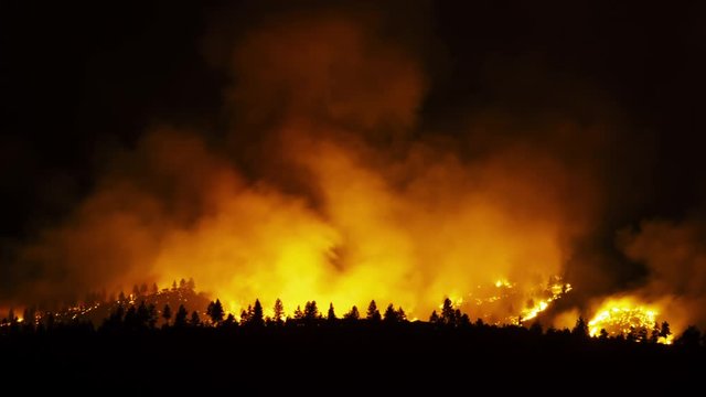Forest Fire Burning at Night Near Reno Nevada Time Lapse