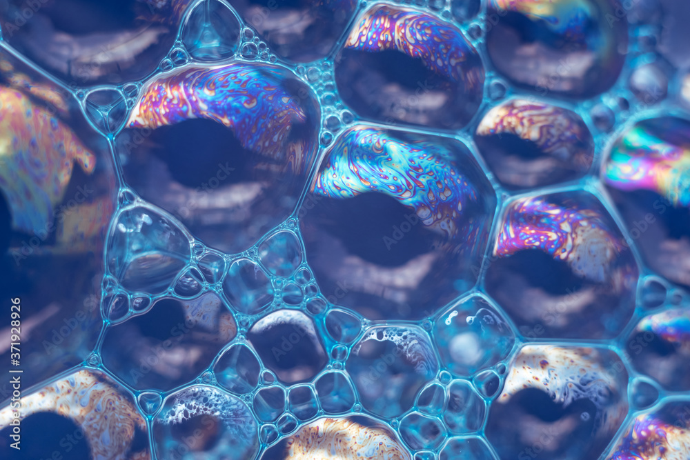 Poster Beautiful abstract blue bubbles background pattern texture for design . Macro view.