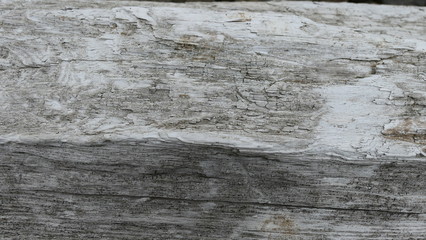 drive wood  background texture or wallpaper