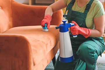 Dry cleaner's employee removing dirt from sofa in house