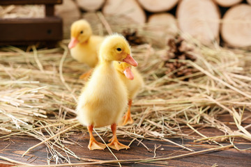 Cute ducklings with straw on table