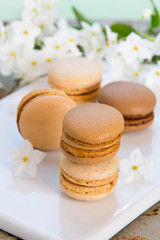 Macarons
