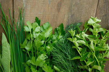 fresh herbs on wooden surface