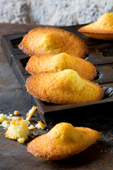 Madeleines à la vanille