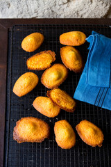 Madeleines à la vanille