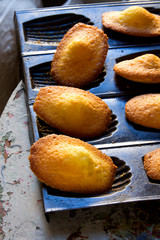 Madeleines à la vanille
