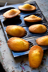 Madeleines à la vanille