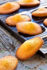 Madeleines à la vanille