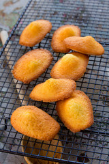 Madeleines à la vanille