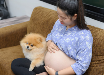 Beautiful pregnant woman with cute dog on a brown sofa