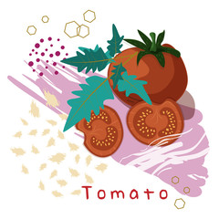 abstratc illustration of tomato with slices