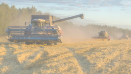 Fototapeta premium Blured background. combine harvester on a wheat field with blue sky.