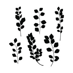 Set imprint of a natural branch with leaves. Silhouette of a bush branch. Botanical vector illustration. Suitable for design, prints, postcards.
