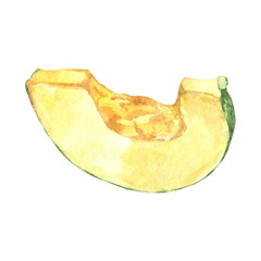 Watercolor cut section of pumpkin isolated on white. Autumn harvest of squash. Ingredient for recipe of Thanksgiving meals. Hand drawn illustration for Halloween design. Vegetarian raw food.