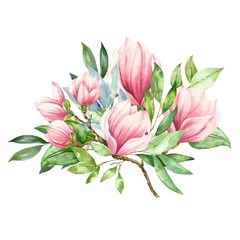 Hand drawn watercolor magnolia flowers bouquet with green leaves isolated on white background. Watercolour floral arrangement, botanical illustration.