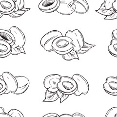 Hand drawn  apricots on white background.Vector  seamless pattern.