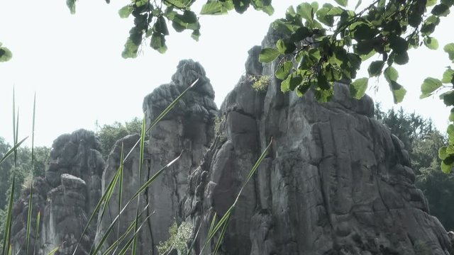View of the Externsteine with grass and a branch in the foreground of the sandstone massif