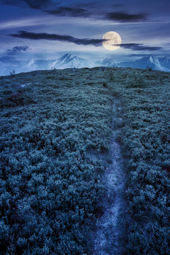 path uphill to the mountains at night. tatra ridge in the distance in full moon light. composite imagery. mysterious success concept
